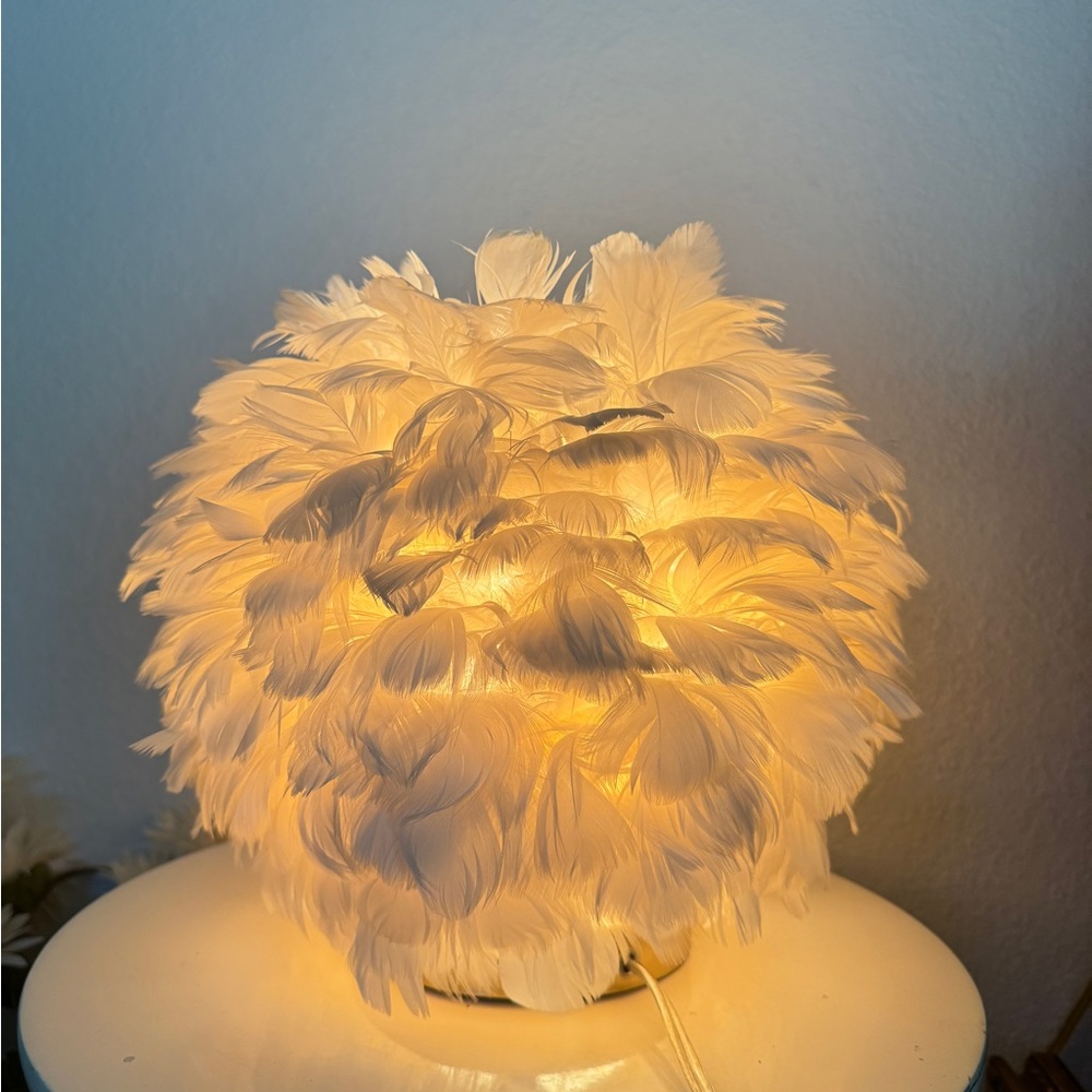 Modern Feather 1-Light Ball-Shaped Table Lamps
